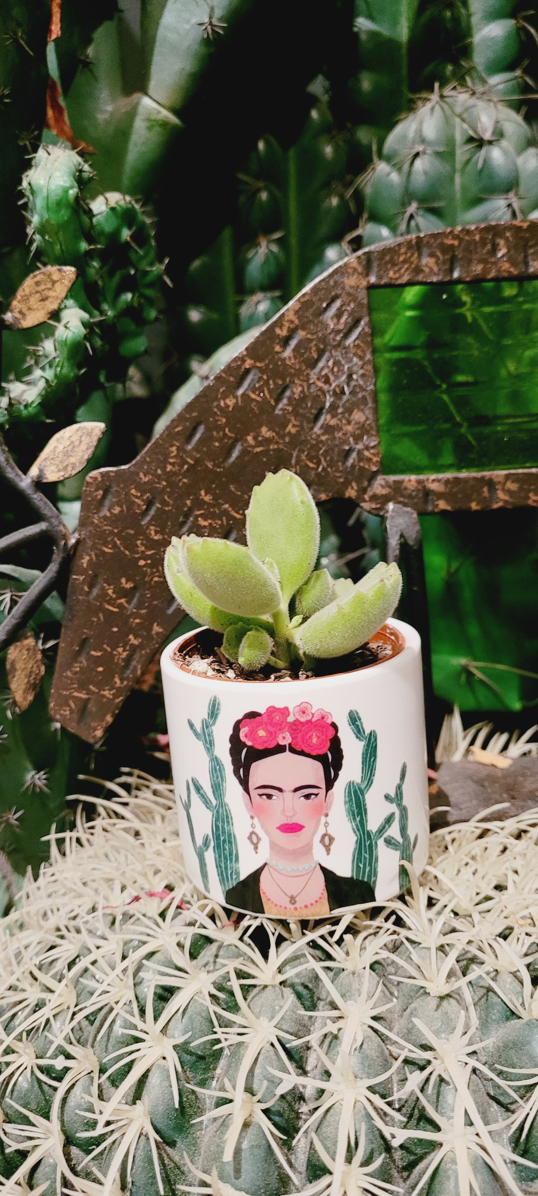 Frida
