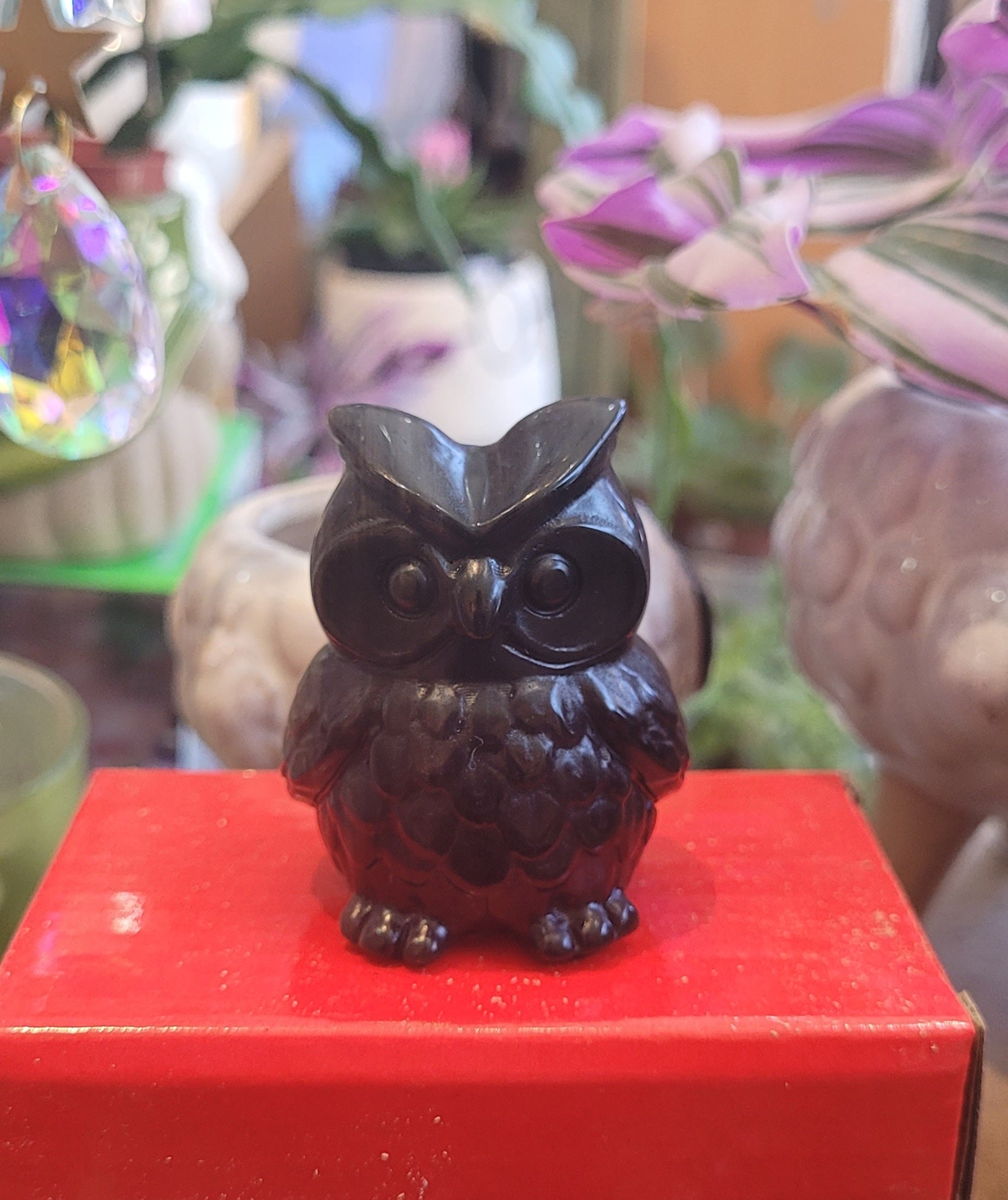 Obsidian Owl
