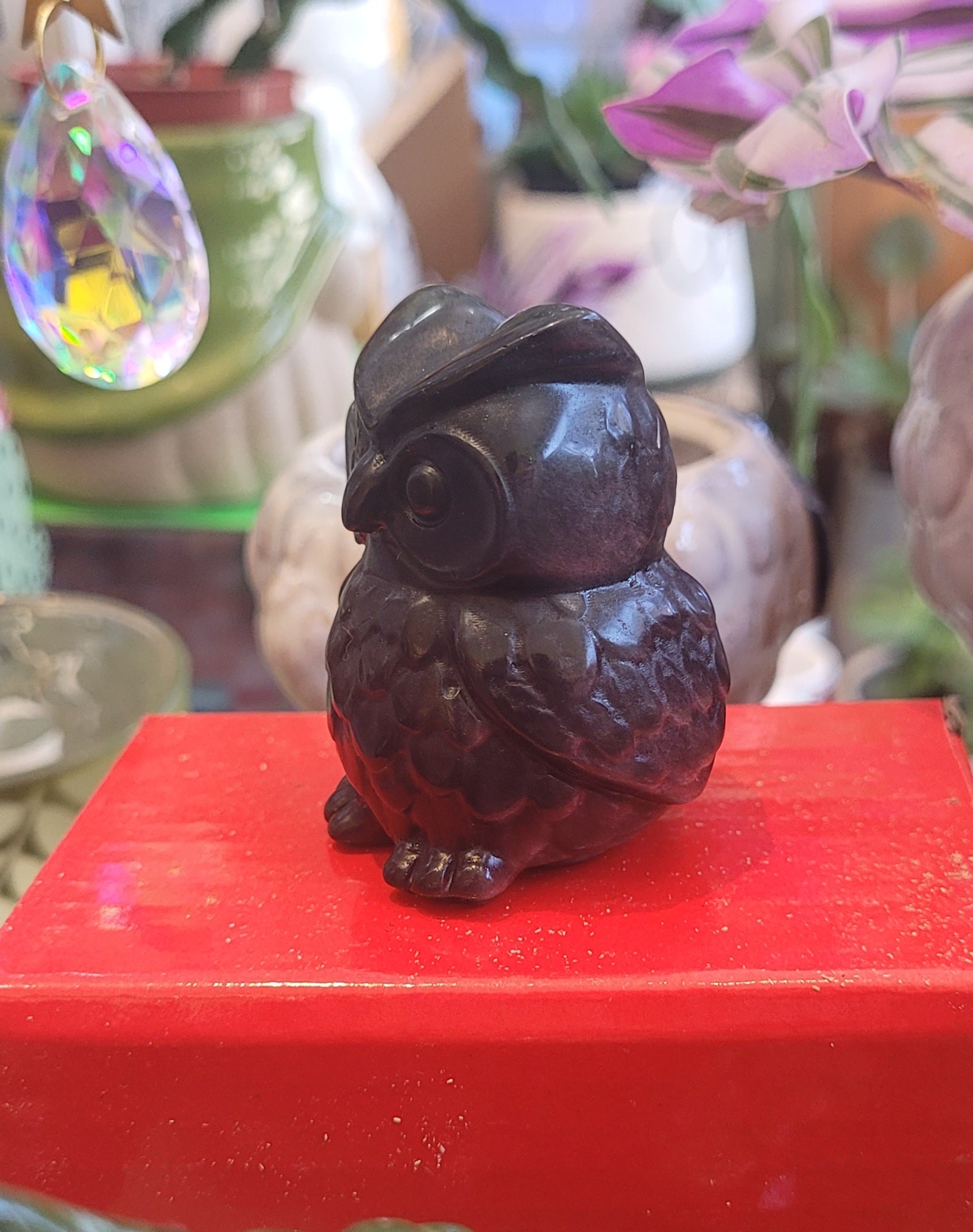 Obsidian Owl