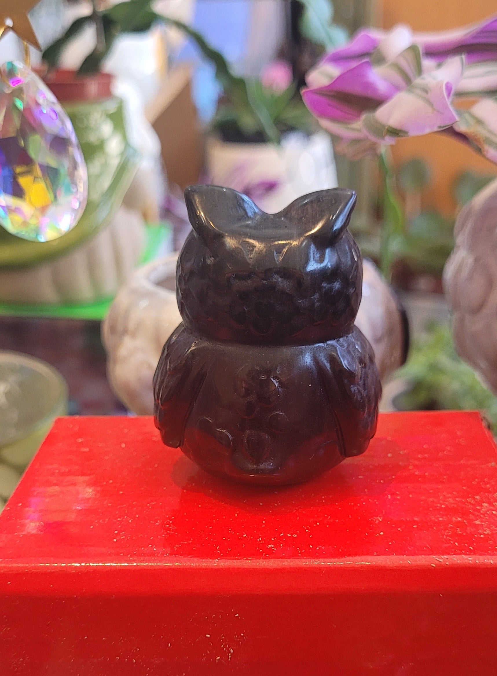 Obsidian Owl