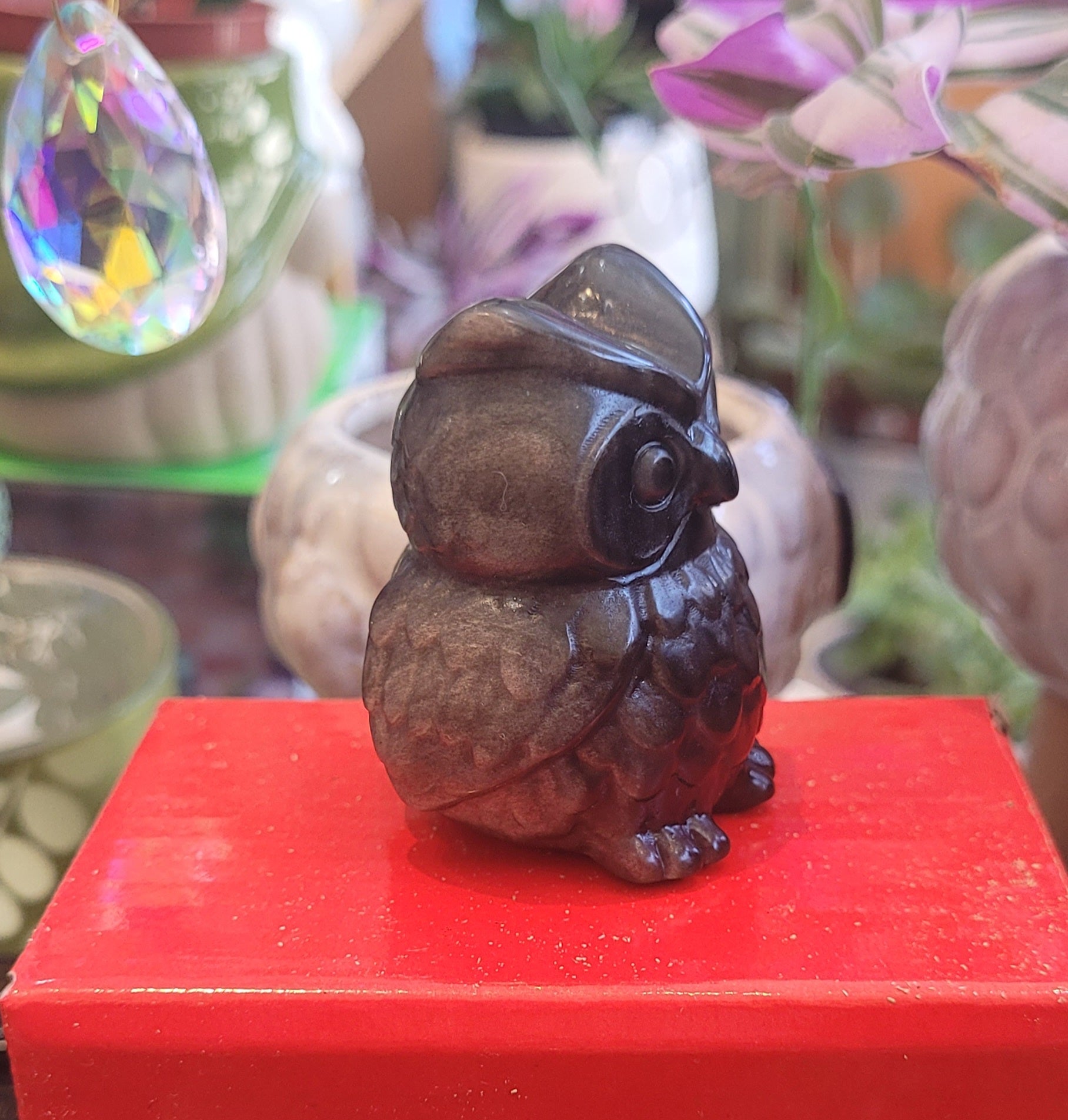 Obsidian Owl