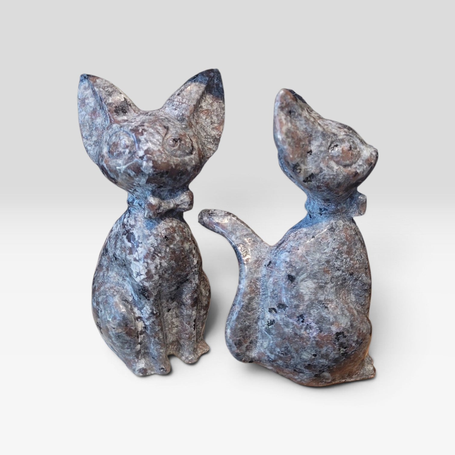 Yooperlite Cat