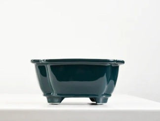 Bonsai Plant Pots