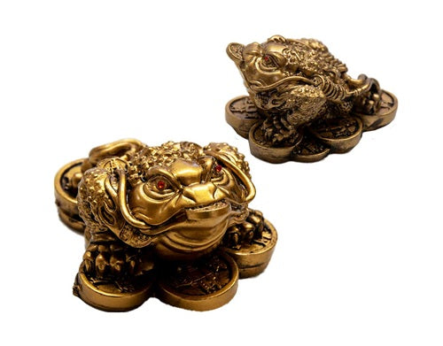 Feng Shui