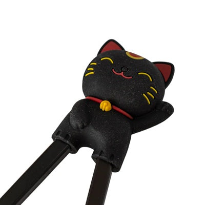 Training Chopsticks