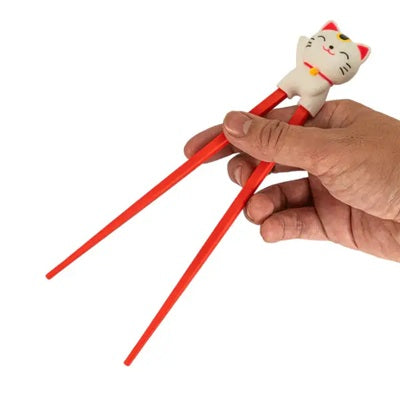 Training Chopsticks
