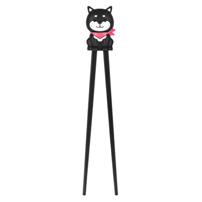 Training Chopsticks