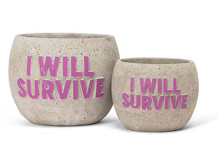 I Will Survive (Cement)