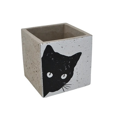 Kitties! (Concrete)